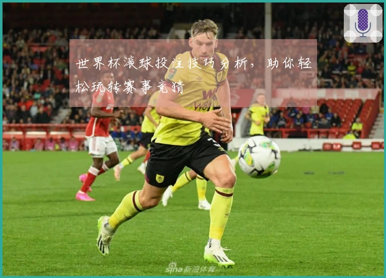 世界杯滚球投注技巧分析，助你轻松玩转赛事竞猜