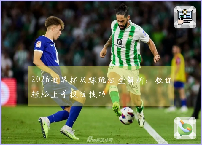 2026世界杯买球玩法全解析，教你轻松上手投注技巧