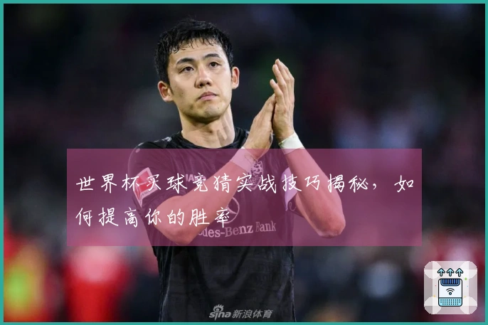 世界杯买球竞猜实战技巧揭秘，如何提高你的胜率