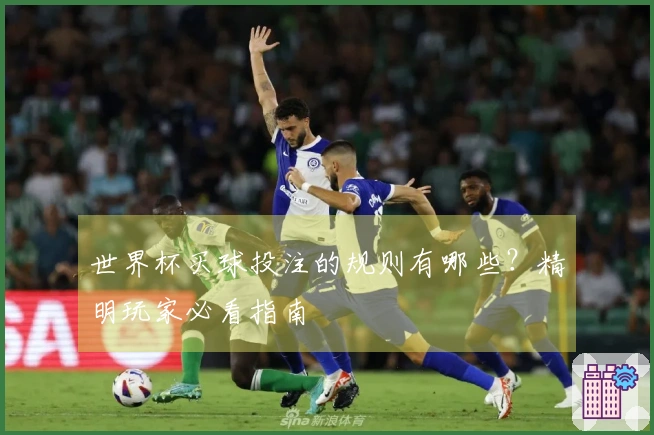 世界杯买球投注的规则有哪些？精明玩家必看指南