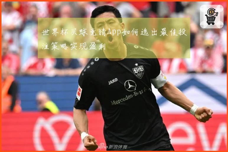 世界杯买球竞猜App如何选出最佳投注策略实现盈利