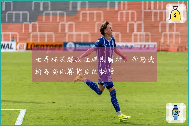 世界杯买球投注规则解析，带您透析每场比赛背后的秘密